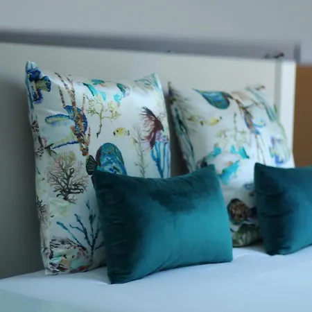 Istudios Belas Arts Porto